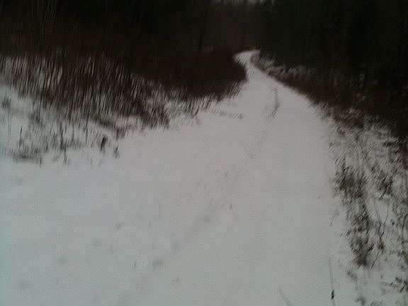 main trail into property