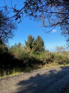 6777 Spring St, Fields Landing, CA, 95537