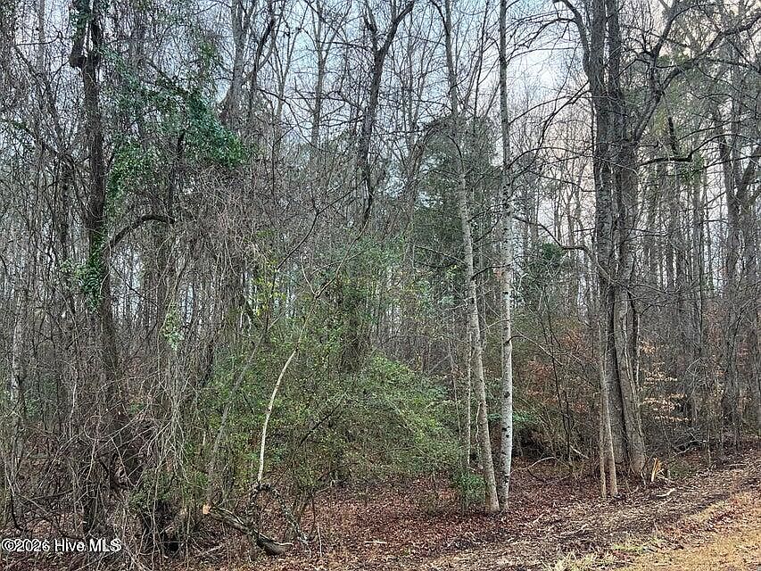 2nd image of 0 Sr 1100