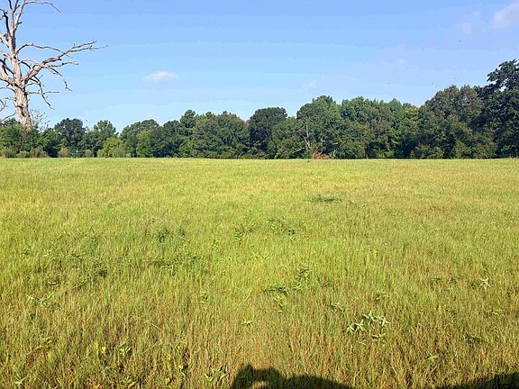4th image of LOT 10 Fm 15 & County Road 2166