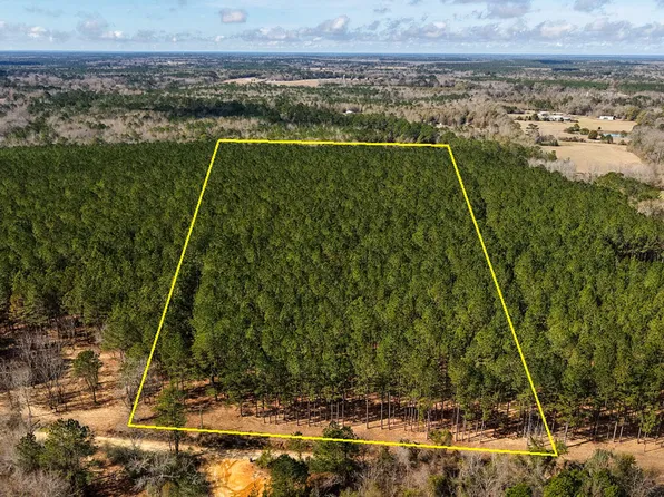 X Grimes Rd, Laurel Hill, FL 32567