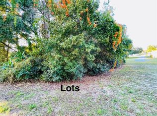 Portland St LOT 5, Eustis, FL 32726