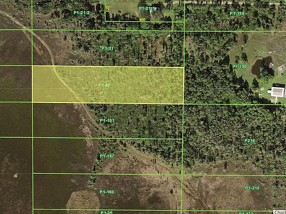 Birdwatching in the Backyard