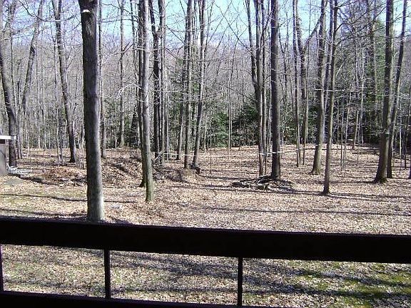 yard view