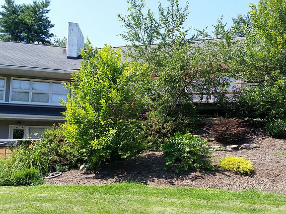 Rear Elevation