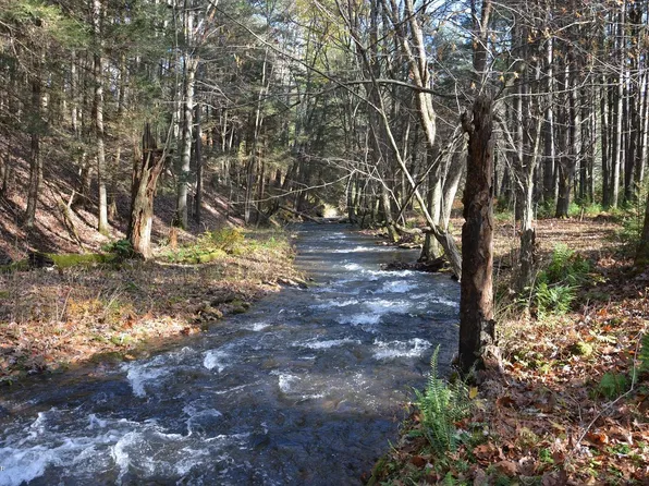 Beaverdam Rd, Renovo, PA 17764