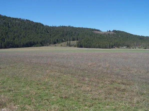 Tbd Aladdin Rd, Colville, WA 99114