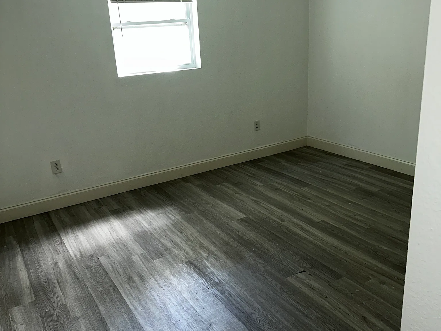 100 Palm Ln — Photo 4