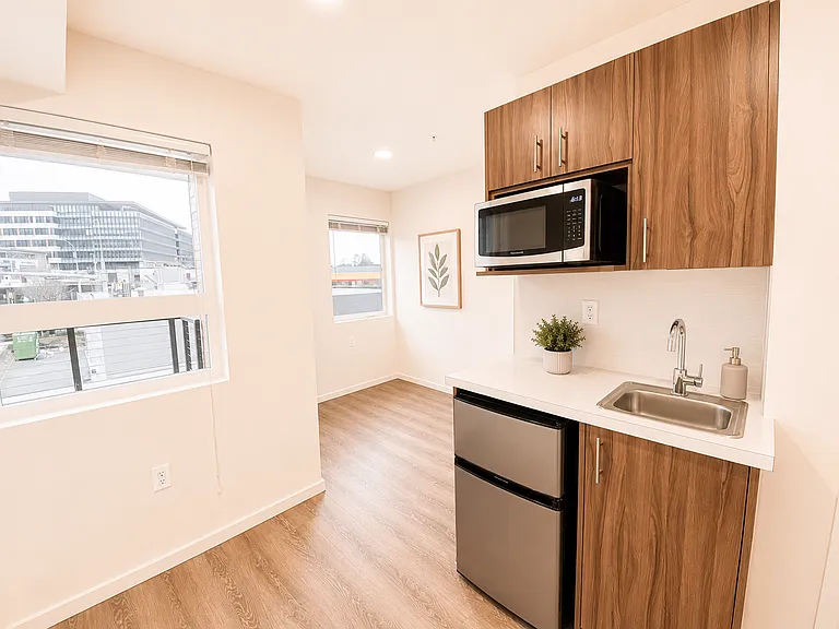 Plaza Apartments — Photo 177