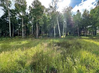 577 El Camino Real, Angel Fire, NM 87710