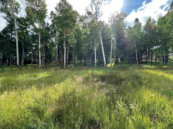 577 El Camino Real, Angel Fire, NM 87710