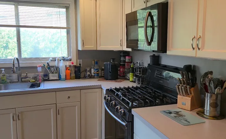 Brittania Cir — Photo 6