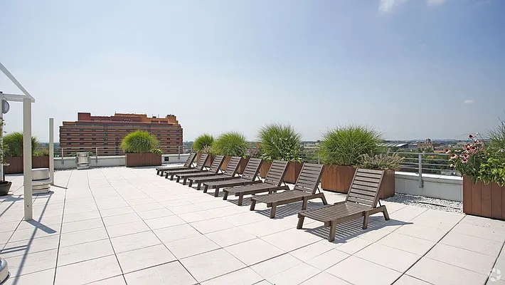 Rented by The Dermot Realty Management Company | media 13