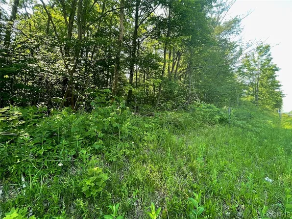 0 Us Route 11 #9, Hastings, NY 13076