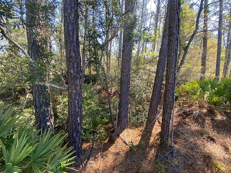712 Mill Creek Cir — Photo 4