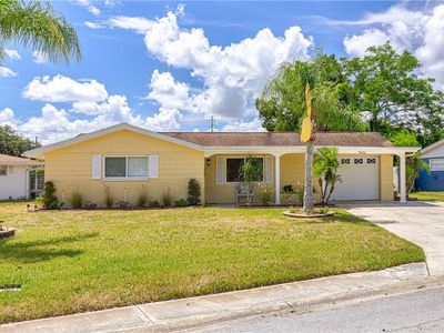 14207 Avon Farms Dr, Tampa, FL, 33618