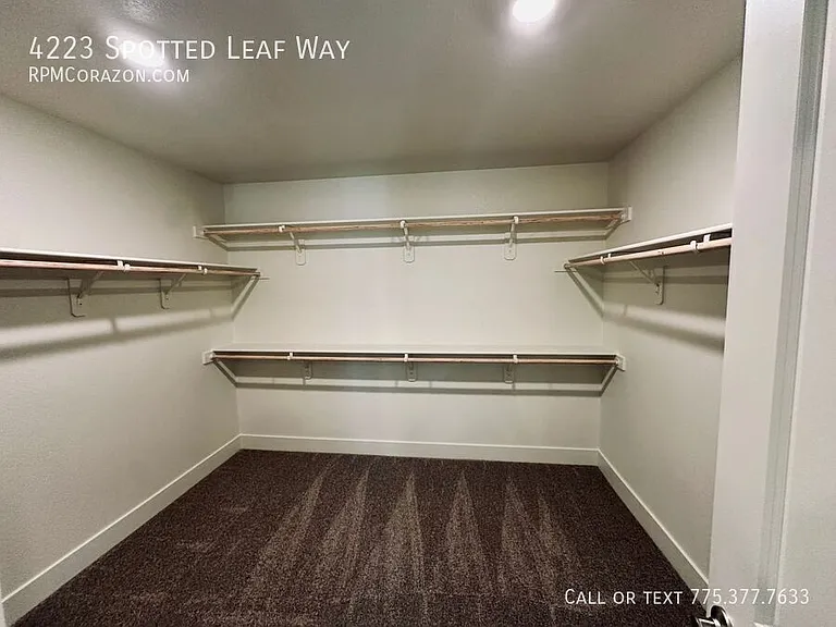 4223 Spotted Leaf Way — Photo 23