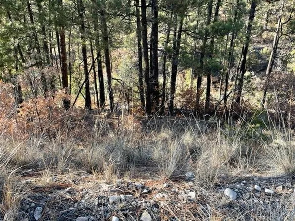 15-L15 Miles Loop #15-16, Timberon, NM 88350