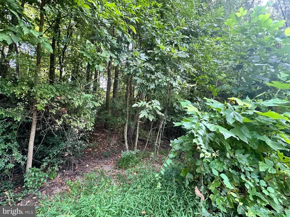 1 Elizabeth St, Elkton, MD 21921