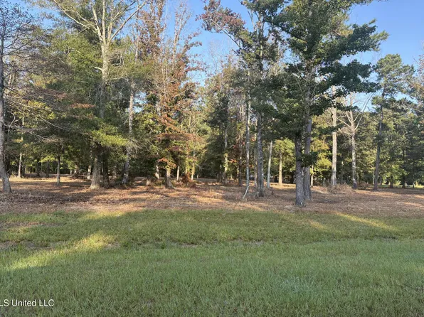 0 Shire Ave Lot 31, Forest, MS 39074