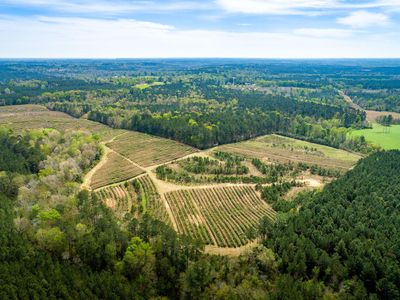 20 Hill Rd, Prentiss, MS, 39474