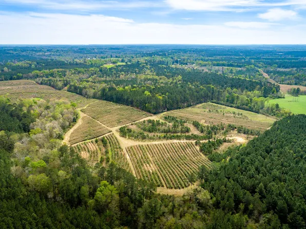 20 Hill Rd, Prentiss, MS 39474