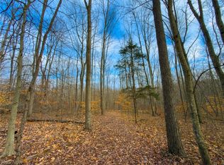 0 Long Fork Rd, Piketon, OH 45661