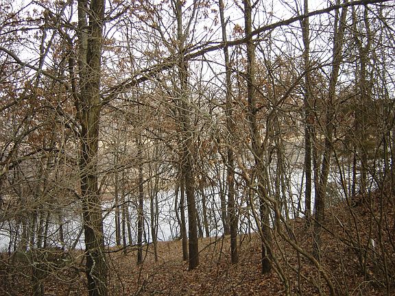 lot 10 lake view