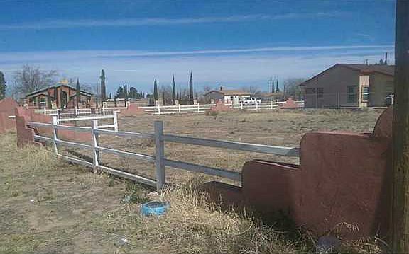 5th image of 10801 Staci Dr