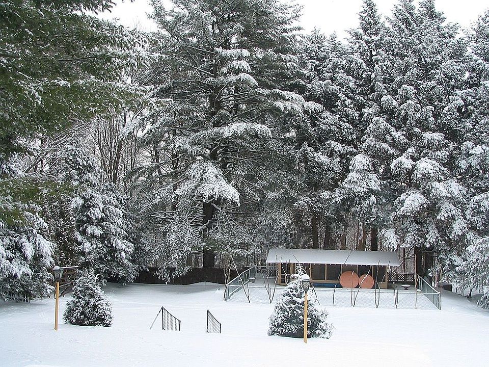 View from Living room window