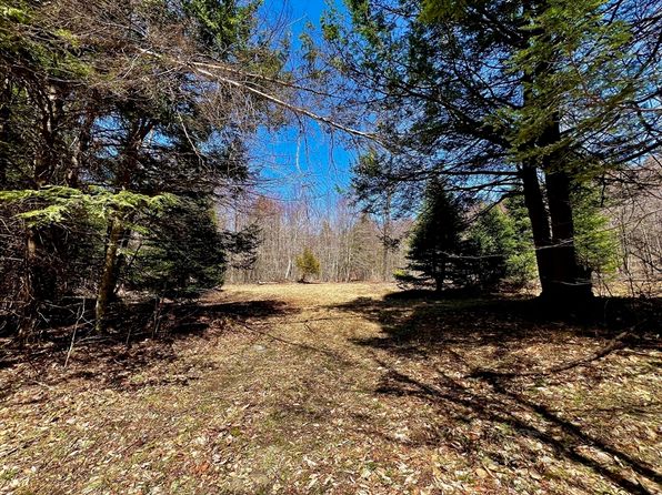 374 Watson Spruce Corner Rd, Ashfield, MA 01330