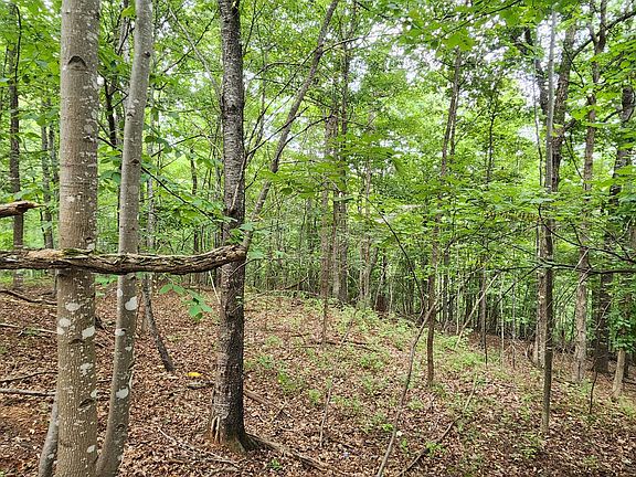 3rd image of 1 Truman Hill Rd