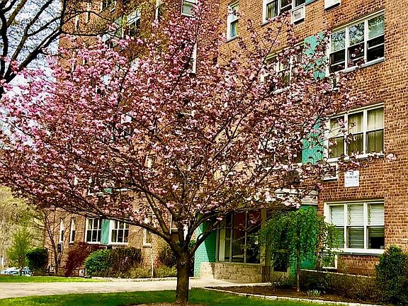 3rd image of 76 DeHaven Drive #3M
