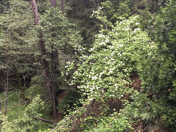 5th image of 4941 Meadow Glen Dr