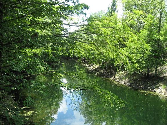 Canal in backyard