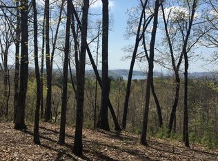 Doll Mountain Rd, Ellijay, GA 30540