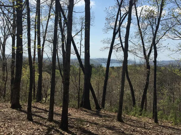 Doll Mountain Rd, Ellijay, GA 30540