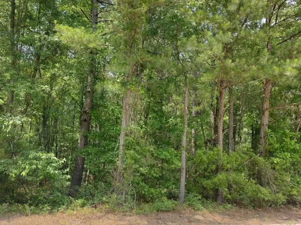 1092 Jeff Dr, Manning, SC 29102