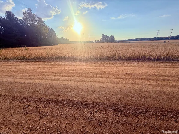 0 Raucholz Rd, Chesaning, MI 48616