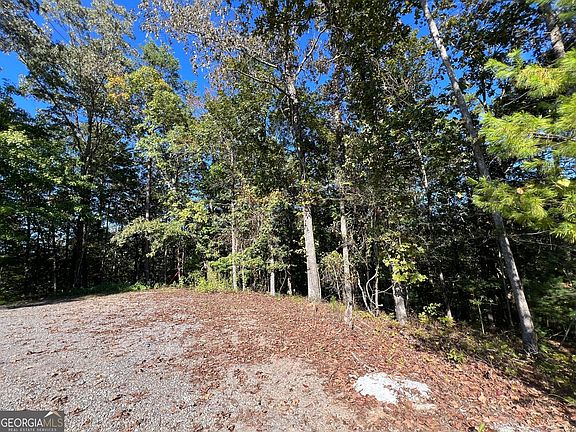5th image of 0 Rebekah Ridge Rd
