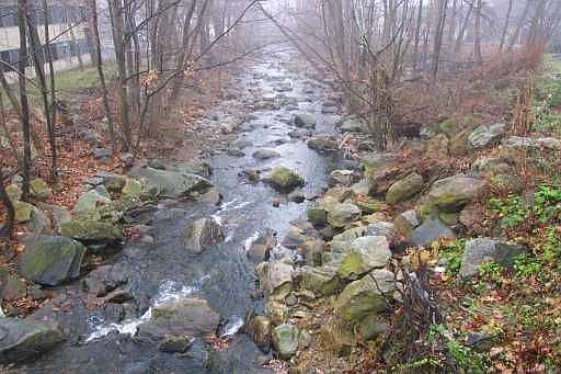 babbling brook