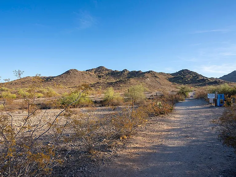 3337 E Las Rocas Dr — Photo 23
