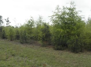 00 HIGHWAY 23, Waynesboro, GA 30830