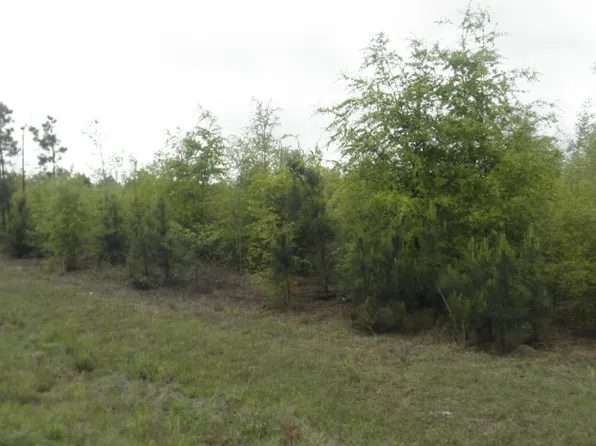 00 HIGHWAY 23, Waynesboro, GA 30830