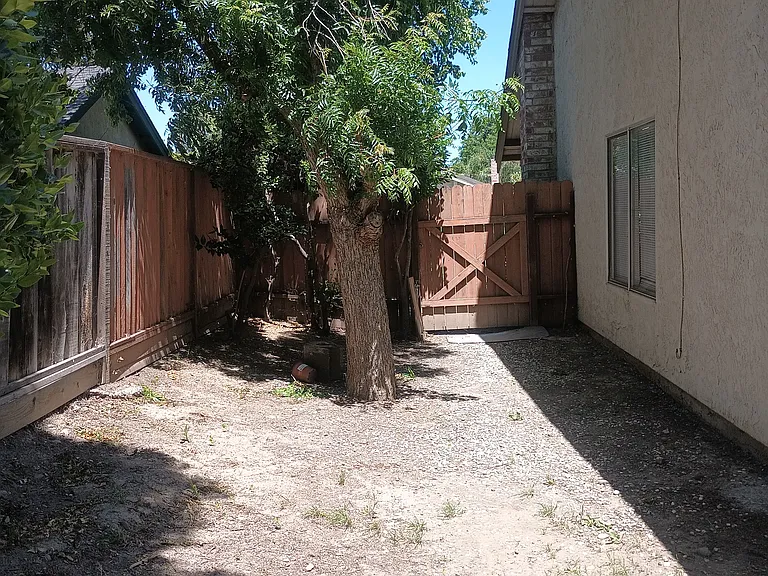Side yard