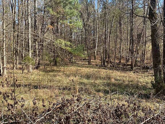 3rd image of 0 Tomachichi Rd