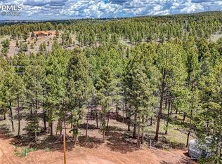 28 Deer Cir, Florissant, CO 80816