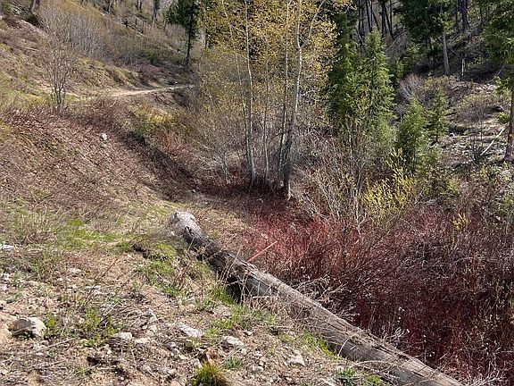 3rd image of Quartz Creek Rd