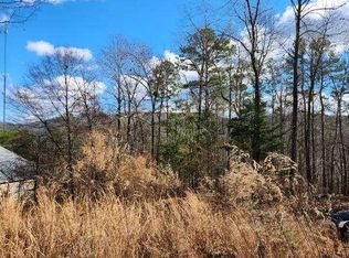 98 Magnolia Rdg #13, Summerville, GA 30747