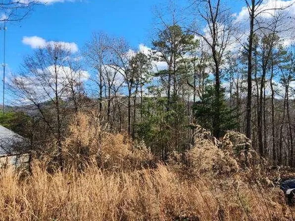 98 Magnolia Rdg #13, Summerville, GA 30747